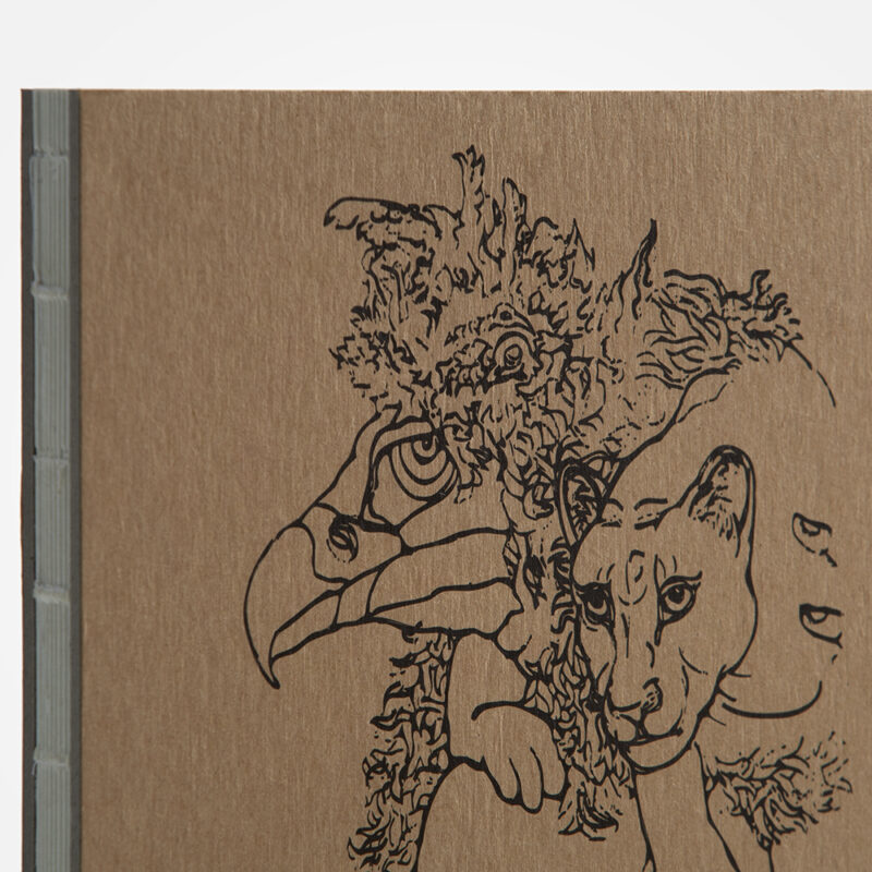 Sketch Book  Rainbow-Coloured Fantasy
