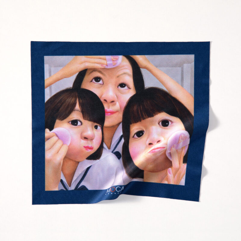 Microfiber Cleaning Cloth : Mirror No. 5